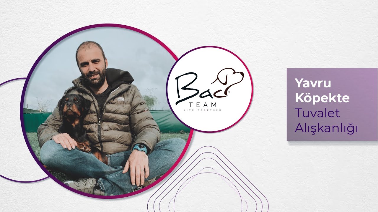 Köpekte En Yaygın Sorun: Tuvalet Alışkanlığı Nasıl Çözülür? - Berker Arslan ile Köpek Eğitimi