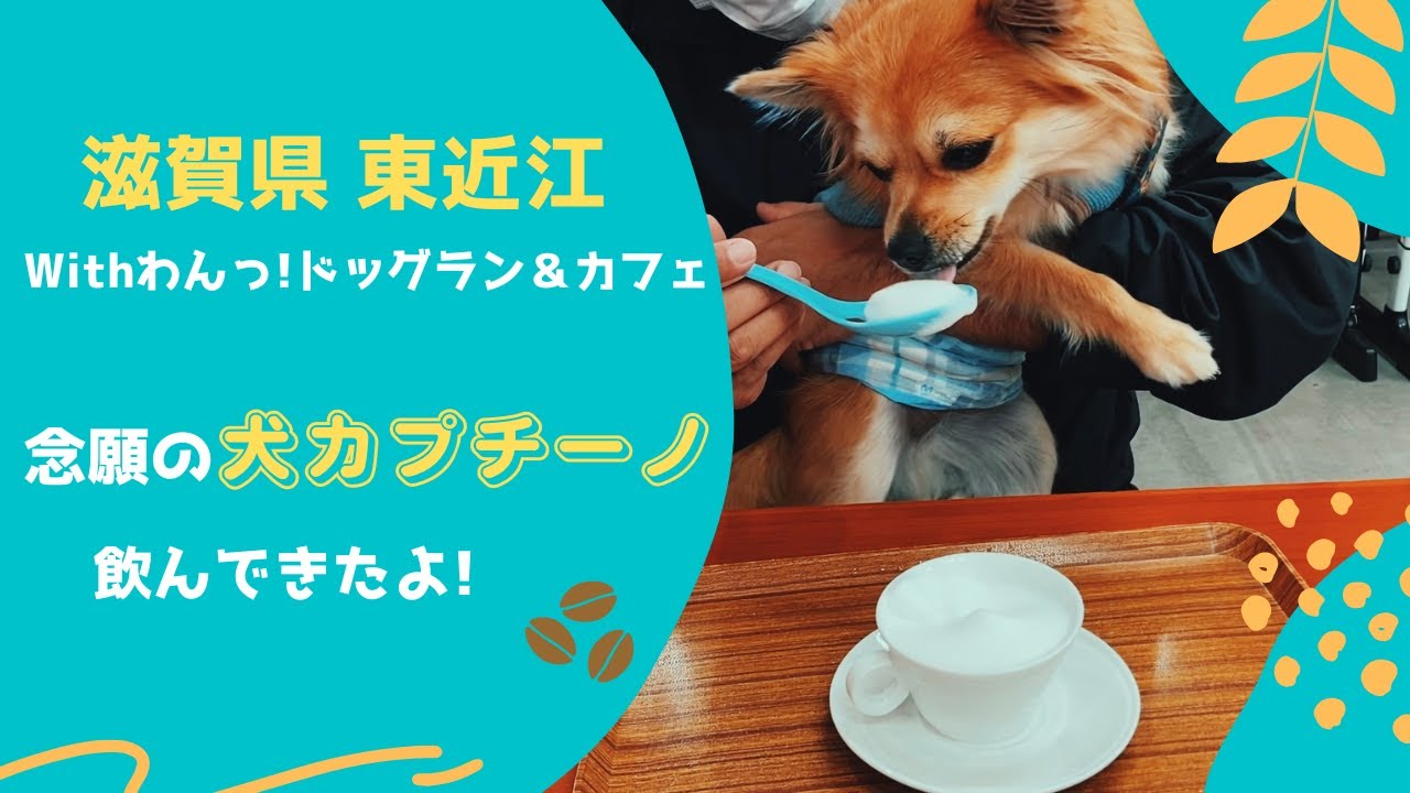 ワンちゃんカプチーノ♡ Withわんっ!ドッグラン＆カフェ(滋賀県東近江）
