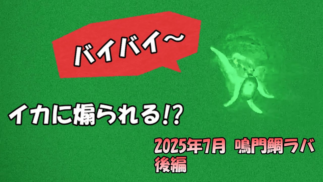 【鳴門鯛ラバ】イカに煽られる!?【後編】