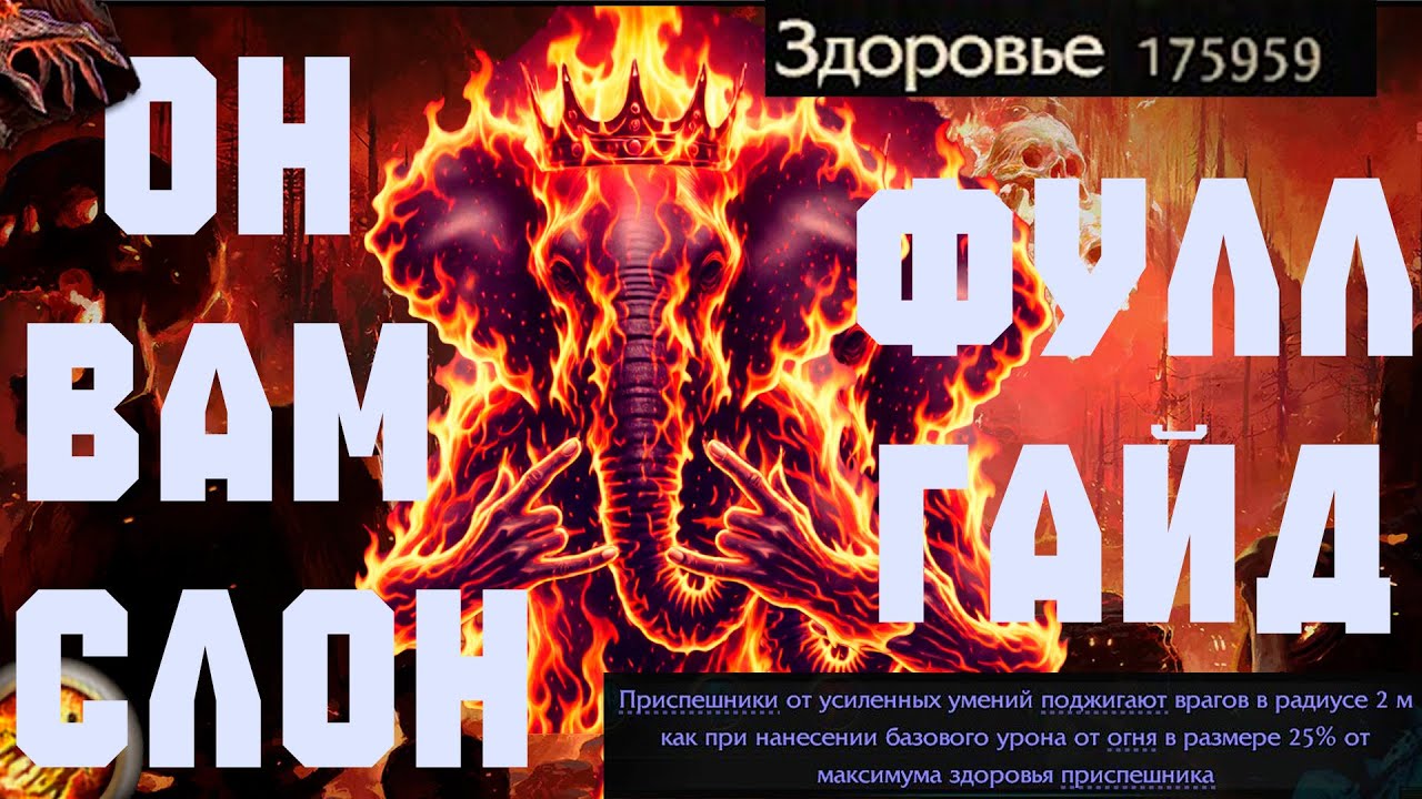 (Гайд на Оракула через Слона) Он вам СЛОН