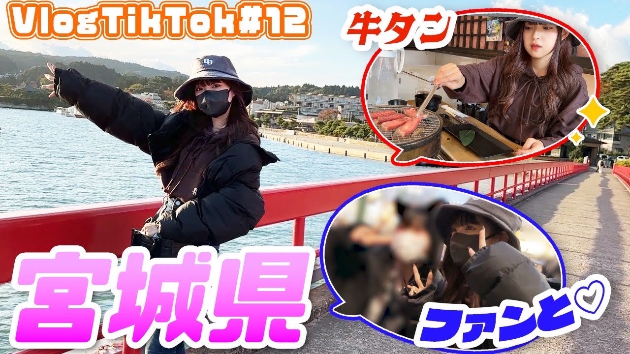 【宮城県】夕食の聞き取り調査したら...【VlogTikTok】