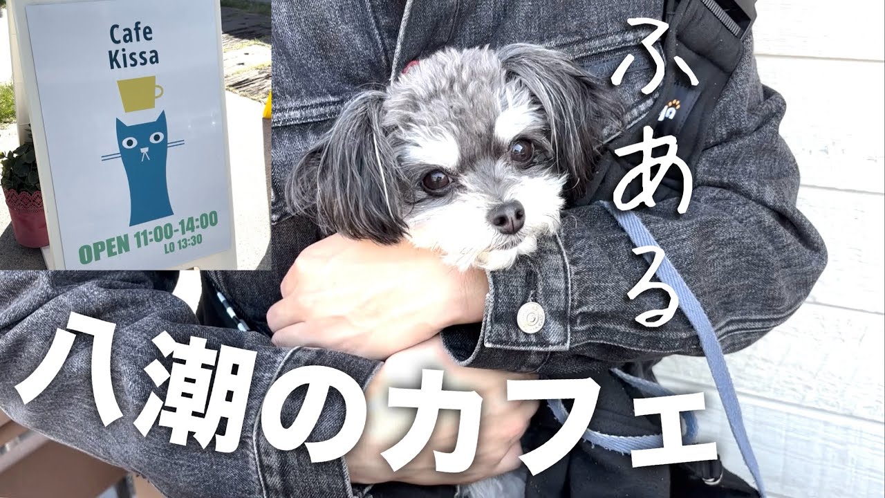 ふあると八潮のカフェ「Cafe Kissa」でランチ🐾 (前編)
