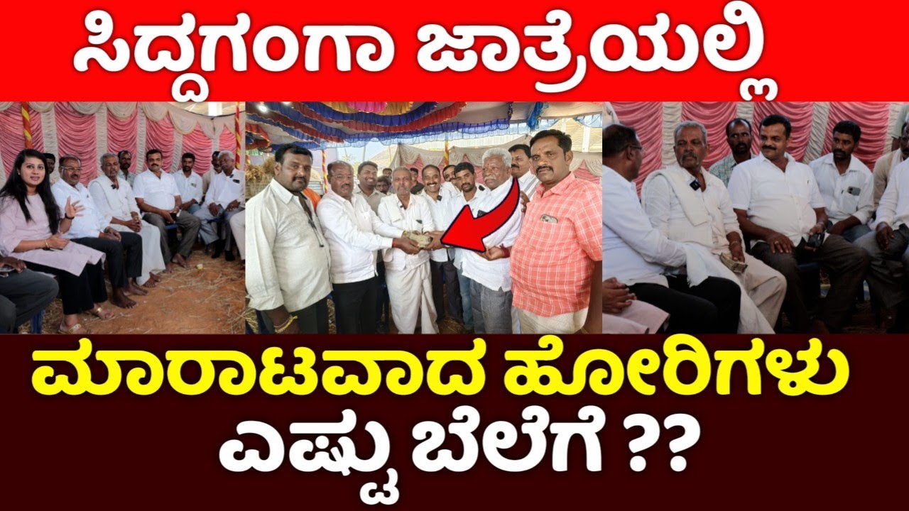 ಸಿದ್ದಗಂಗಾ ಜಾತ್ರೆಯಲ್ಲಿ ಮಾರಾಟವಾದ ಹೋರಿಗಳು ಎಷ್ಟು ಬೆಲೆಗೆ ?? ವ್ಯಾಪಾರ ವಹಿವಾಟು ಹೇಗಿದೆ / Hallikar/Cattle Fair