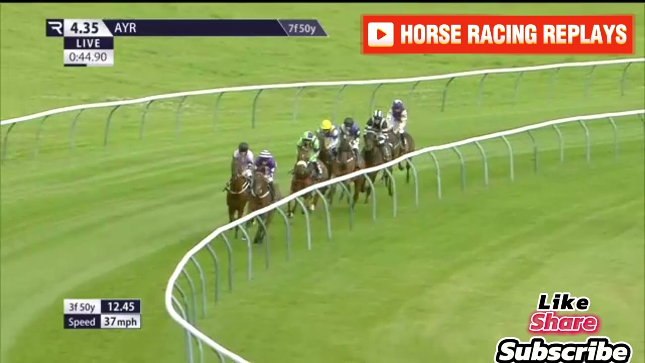 MAKALU / 5 Race Ayr 15 Jul 2024