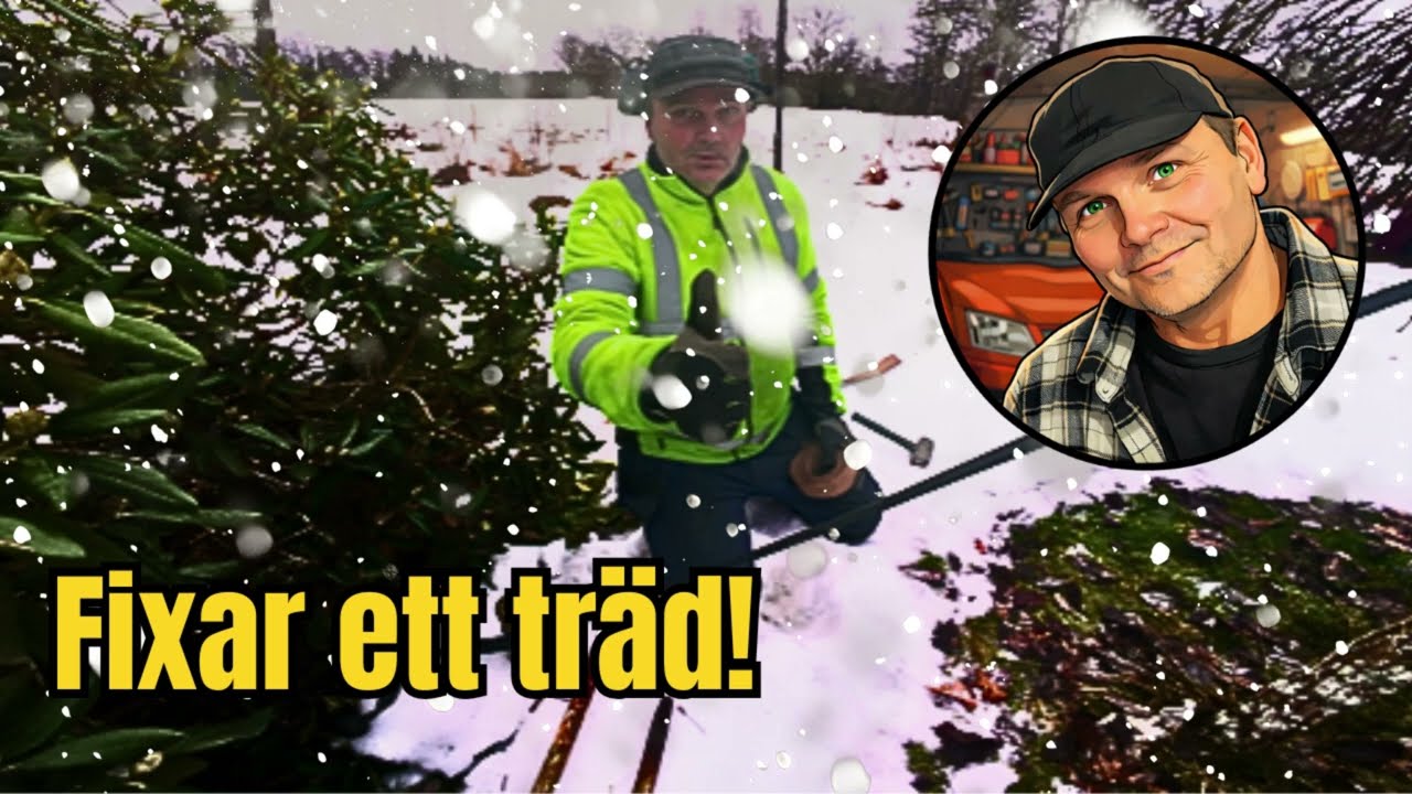 Fixar ett träd!🌳👨🏻‍🌾🤠