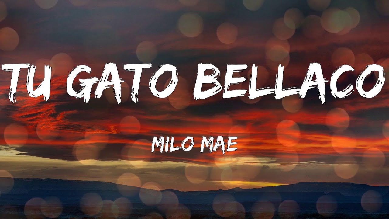 Milo Mae - Tu Gato Bellaco (Letras)
