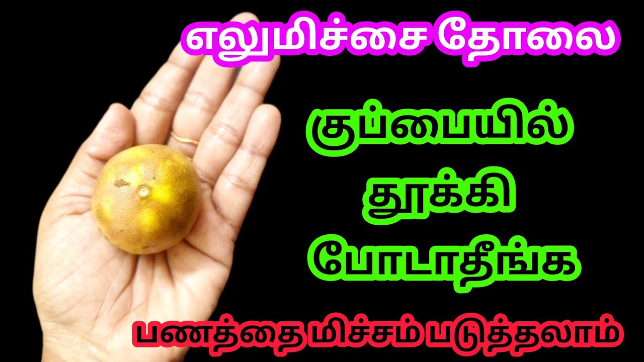 எலுமிச்ச பழத் தோலை வேஸ்ட் என்று தூக்கி போடாதீங்க/kitchen tips @Sabeevlogs