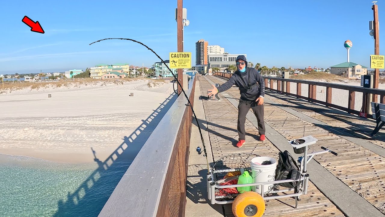 Crazy Catch at the Gulf Pier!