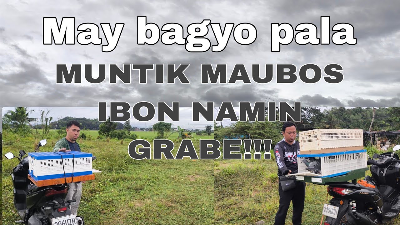 3rd Toss UBOS ANG IBON KO GRABE SA PILLIA!!