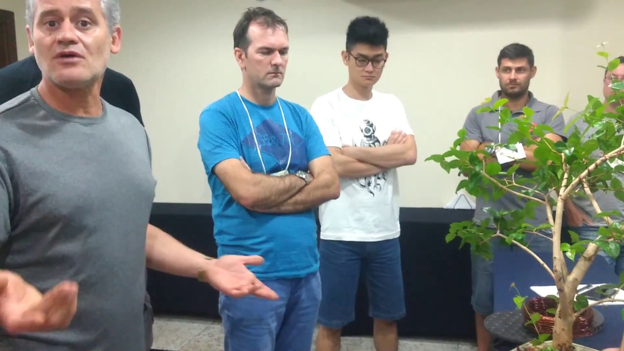 DICAS DE ARAMAÇÃO DE BONSAI | Como Fazer Bonsai