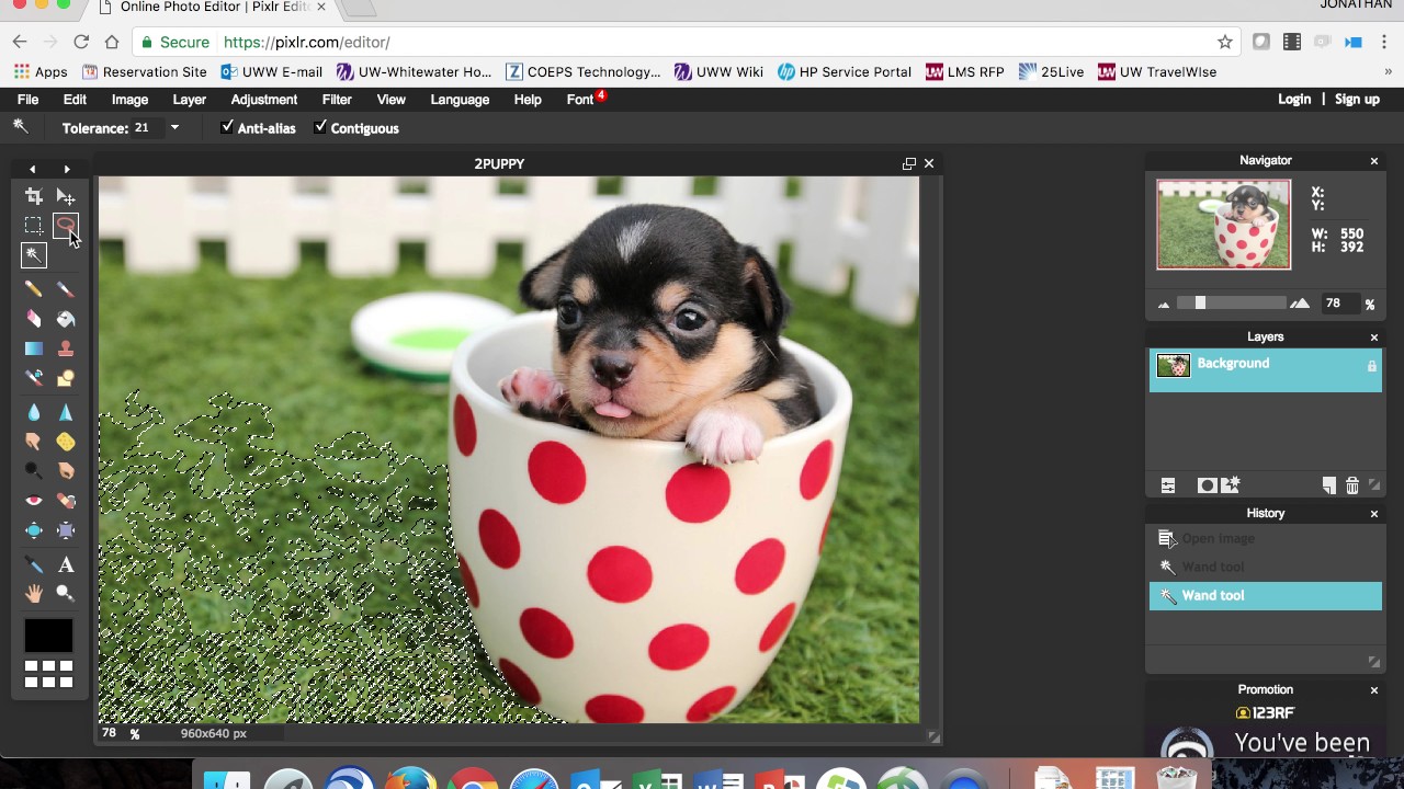 Creating Transparent Cutout PNG Files Using Pixlr