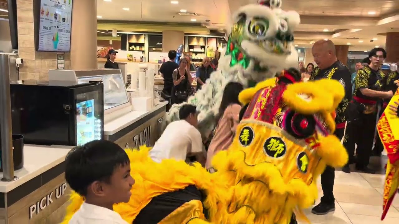 Hungry Lions
