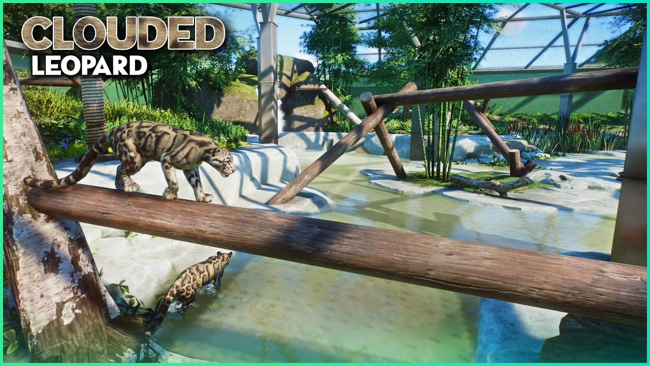 Cool OUTDOOR Leopard Habitat - Planet Zoo Lets Play