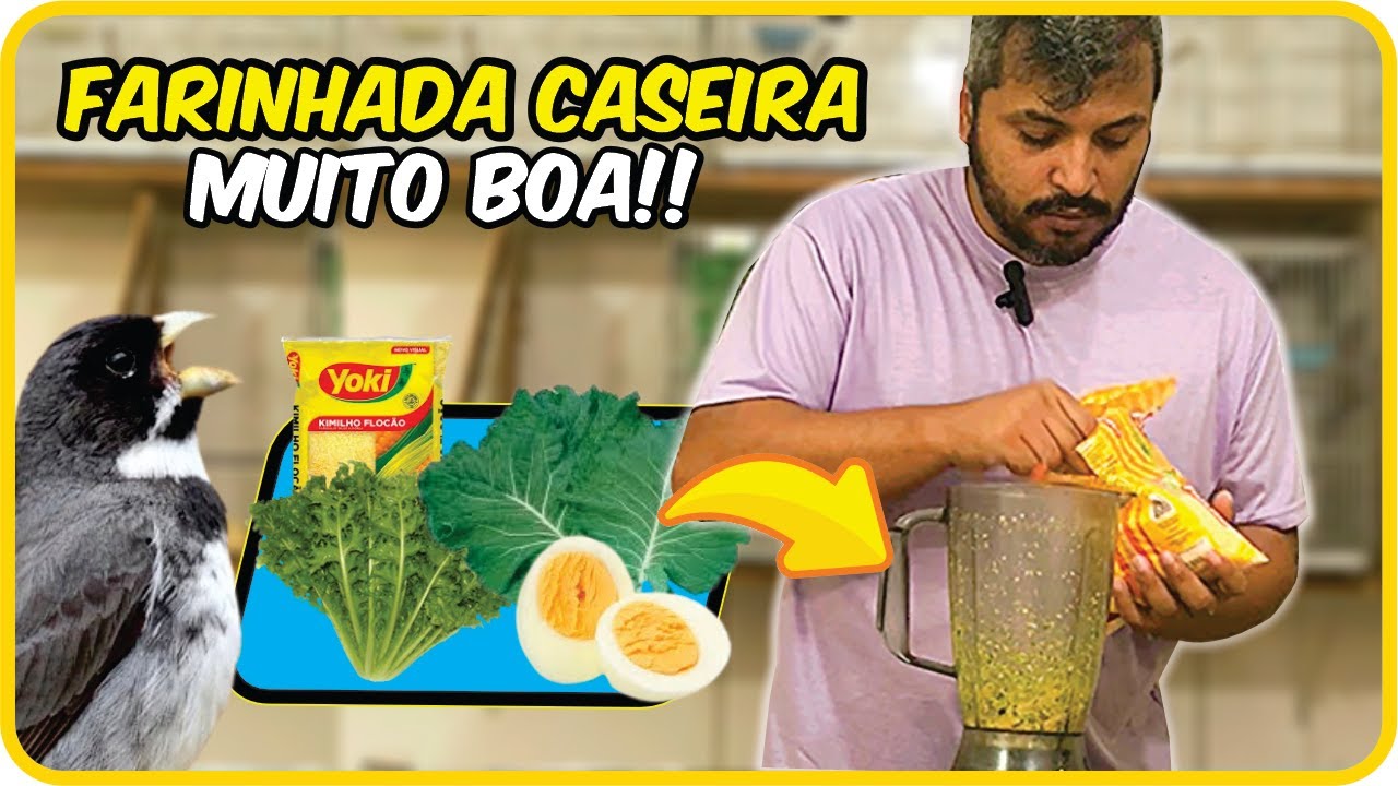 A MELHOR FARINHADA CASEIRA!! Seus passaros vão ADORAR! MUITO FACIL!