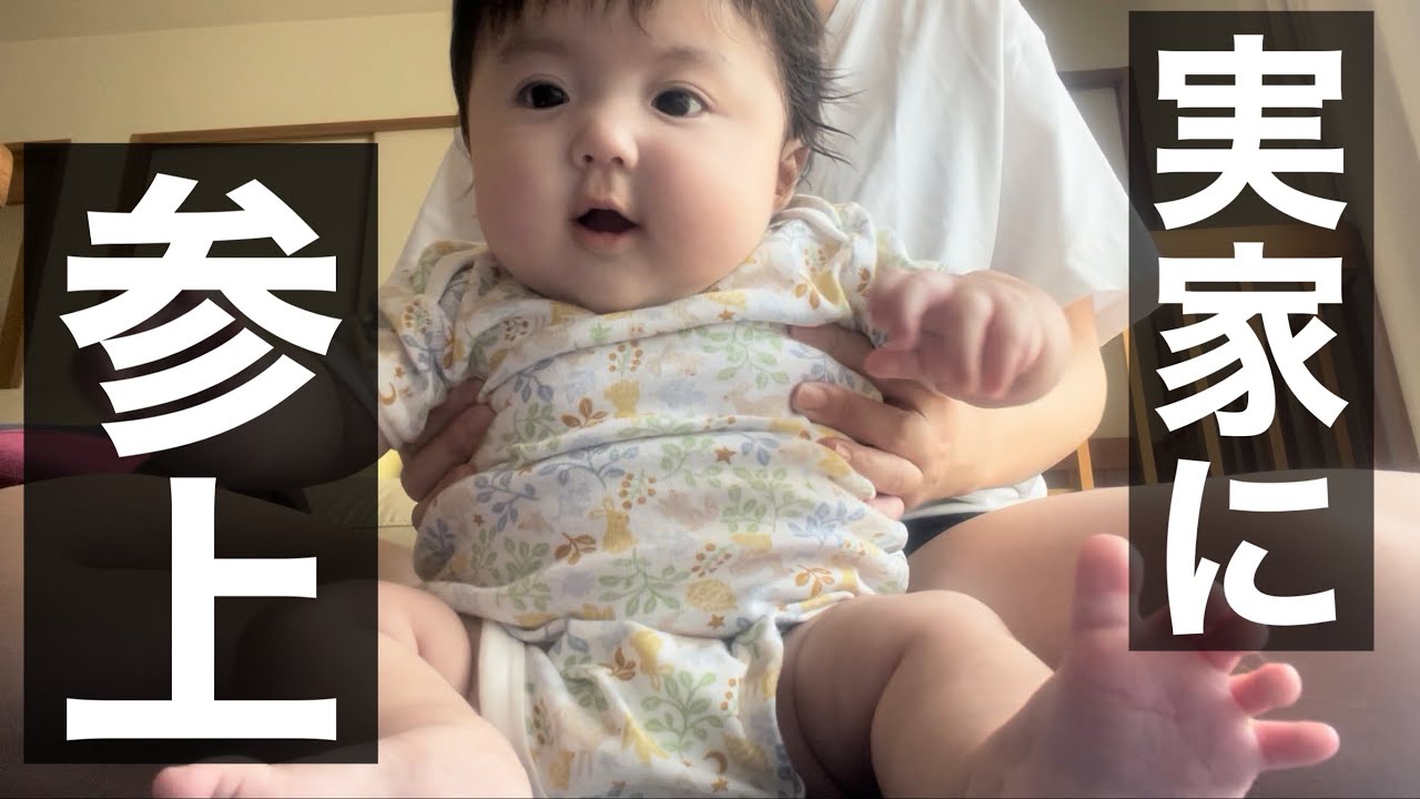 ママの幼少期のおもちゃを眺めるぱちくりちゃんが尊すぎました…/Pachikuri looking at her mother's childhood toys was precious