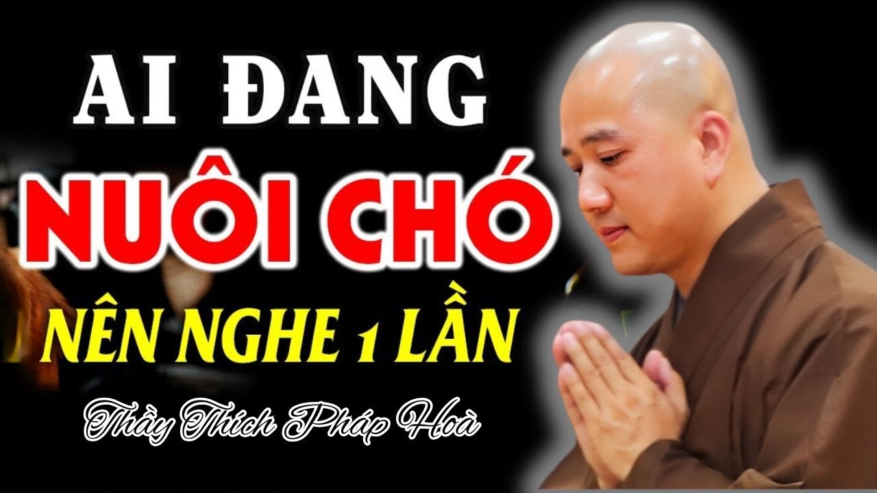 Nuôi Chó Mèo Là Hành Từ Bi Hay Làm Nặng Thêm Nghiệp – Thầy Thích Pháp Hòa Giải Rất Rõ (RẤT HAY)