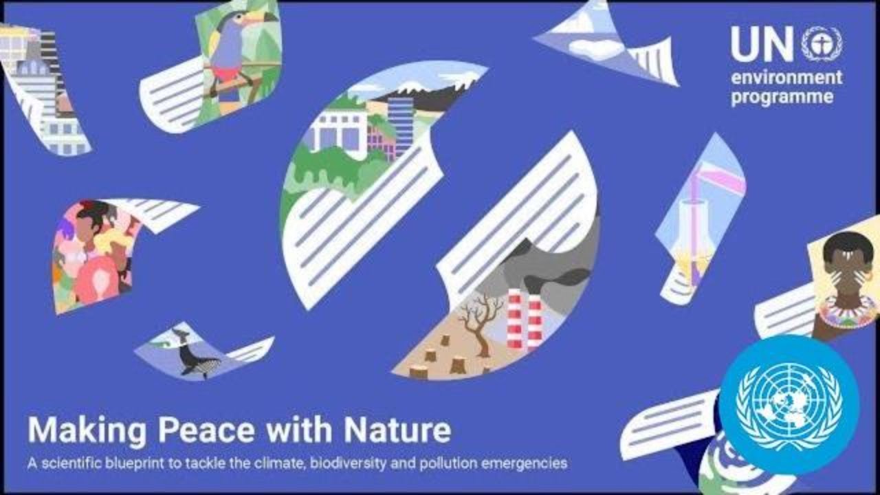 Climate, Biodiversity Loss & Pollution: Alarming report on Earth&rsquo;s triple environmental emergencies