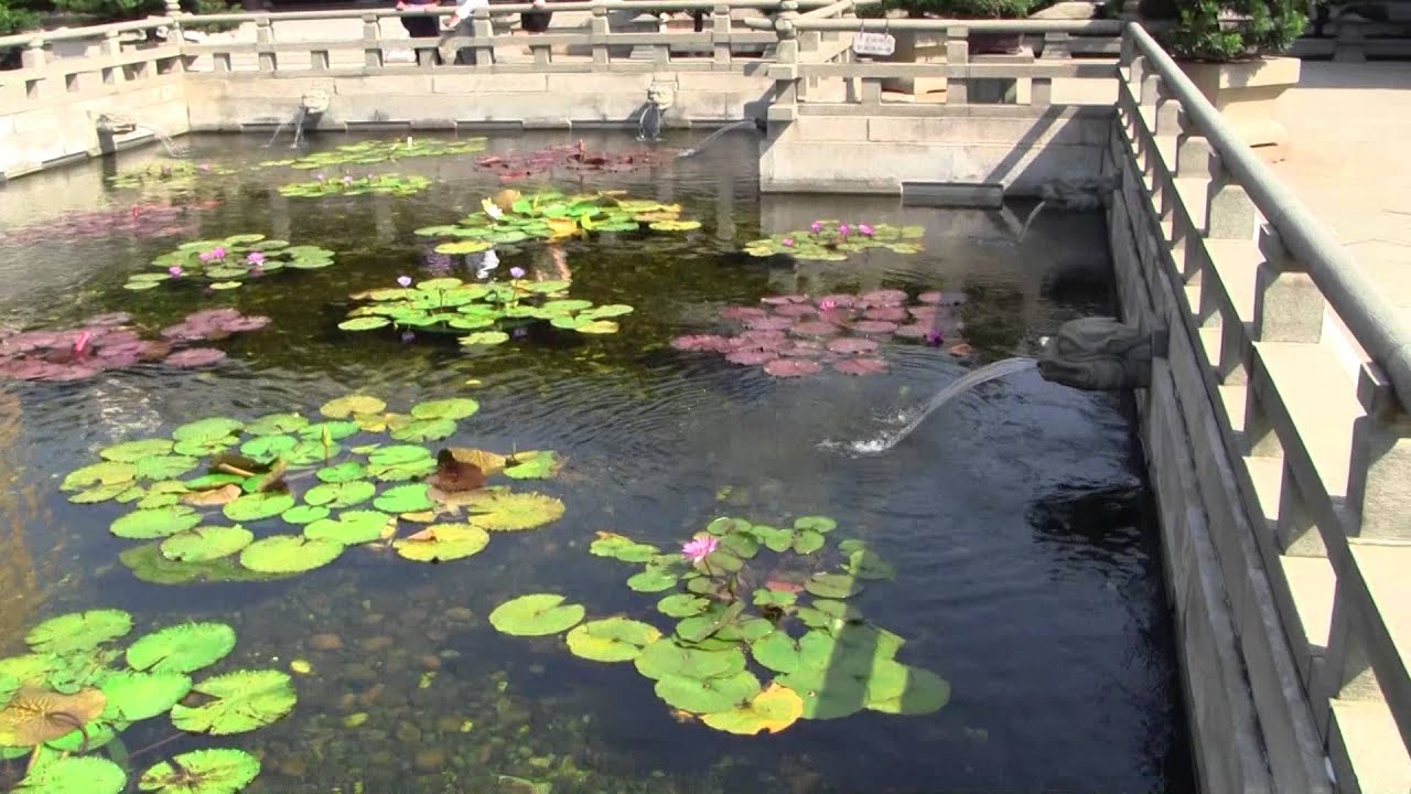 The Chi Lin Nunnery