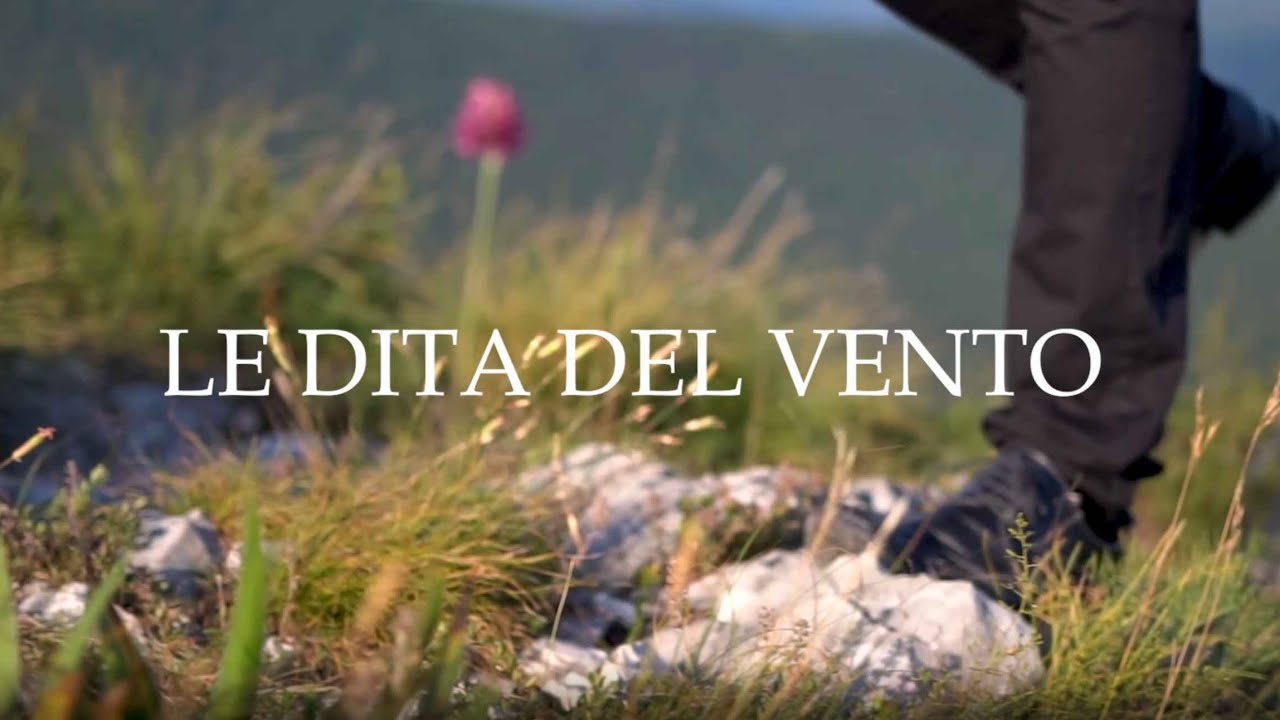 LE DITA DEL VENTO