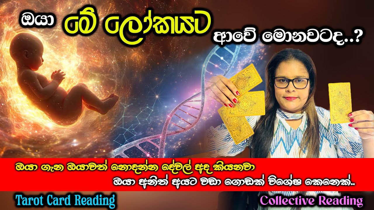 ඔයා මේ ලෝකෙට ආවේ මොනවටද.Why Did You Come to This World| Tarot Sinhala