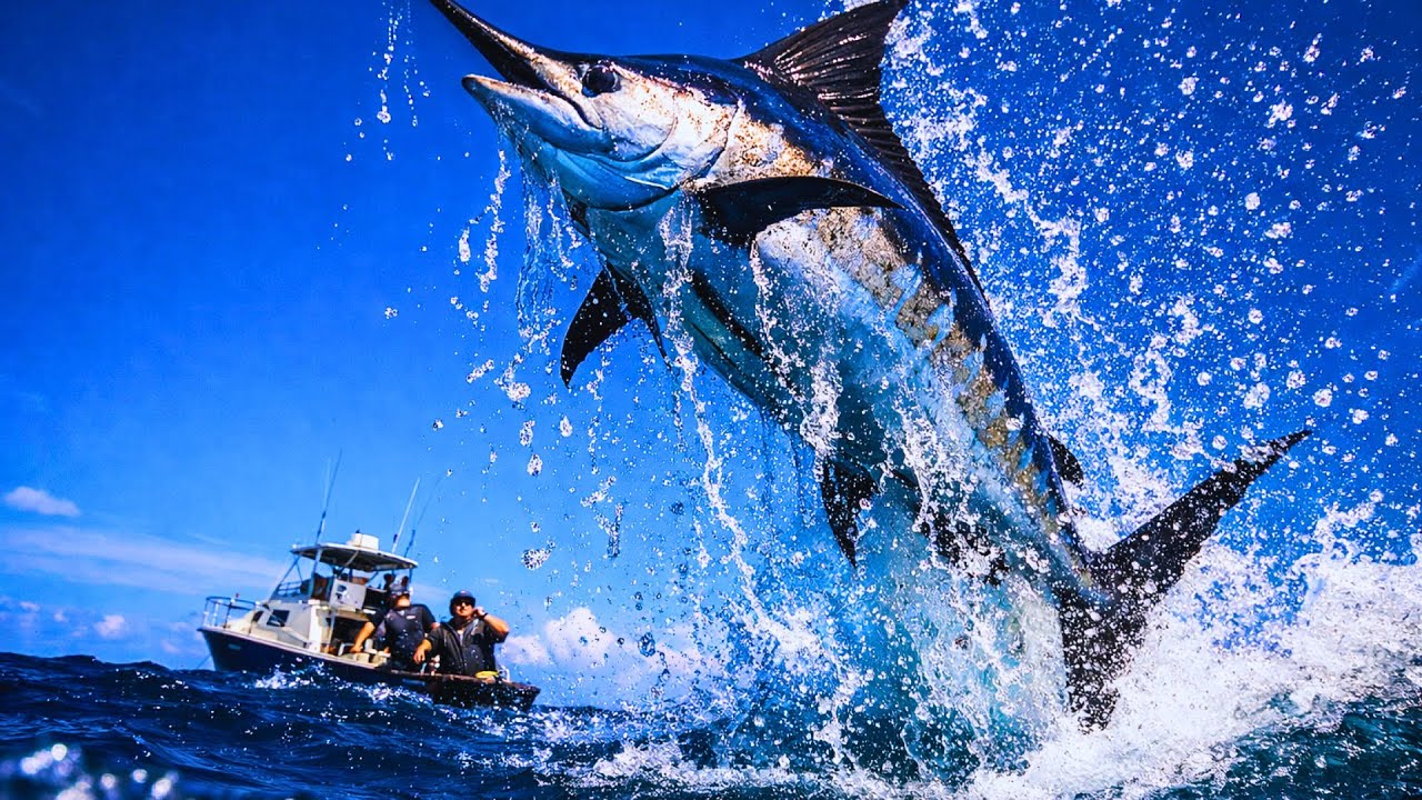 61 Times Fishermen Caught Monsters