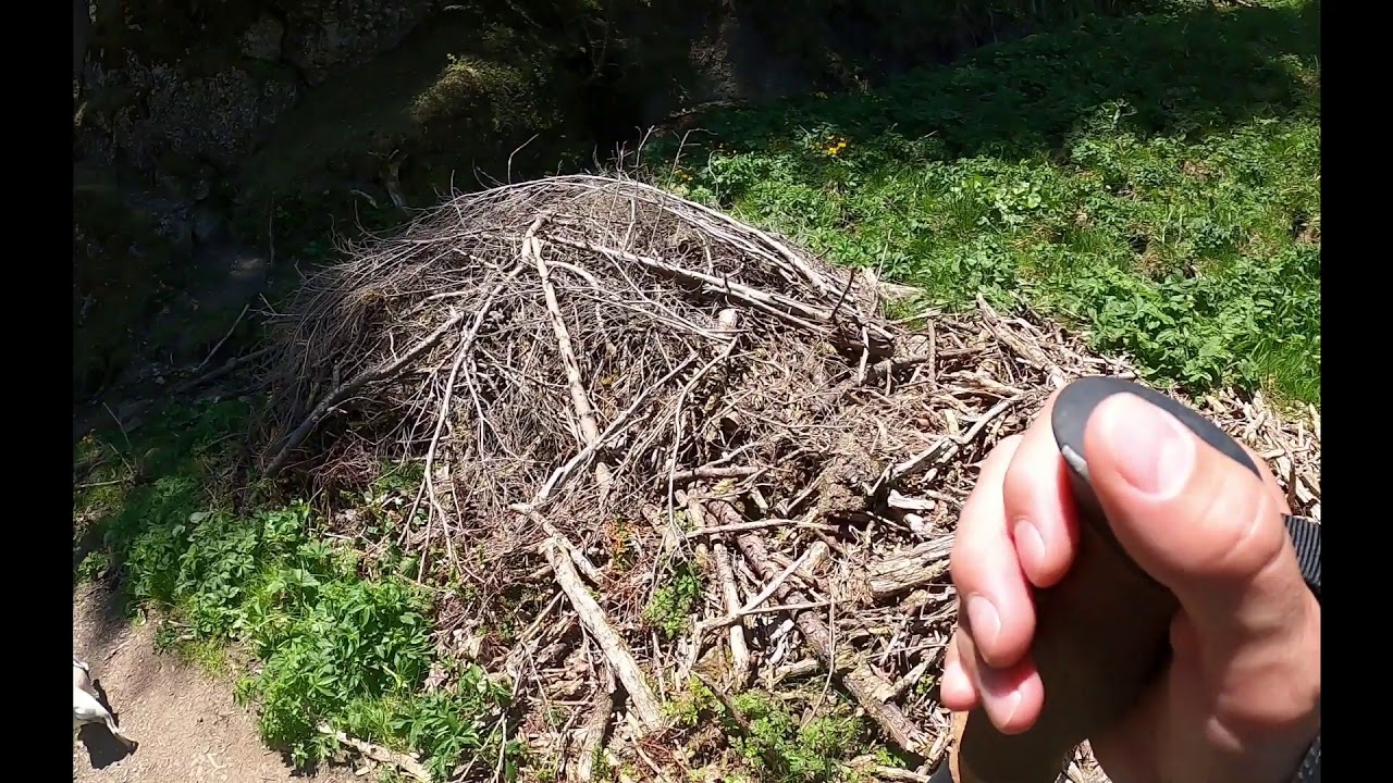 Bärenköpfle im Allgäu