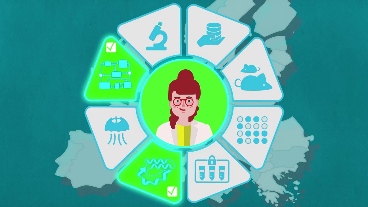 European Life Science Research Infrastructures – How our users advanced their research projects