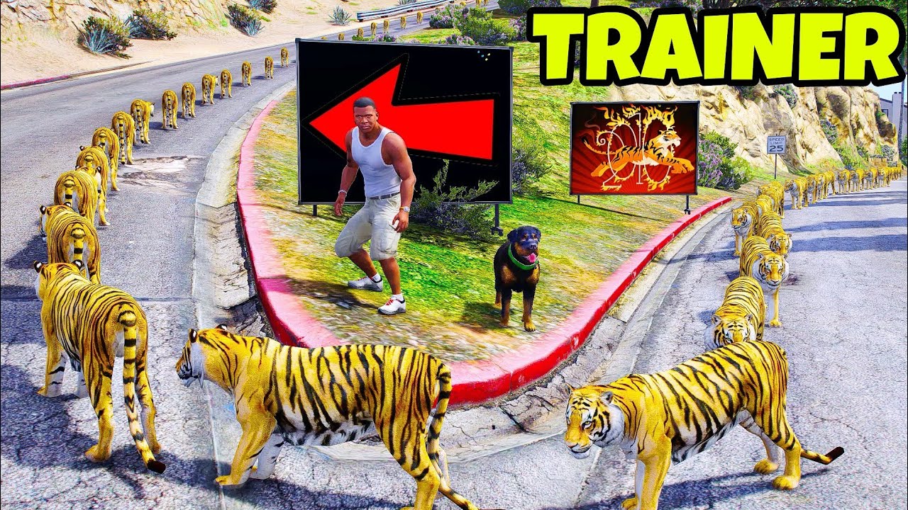 Franklin Become Tigers Trainer in GTA 5 