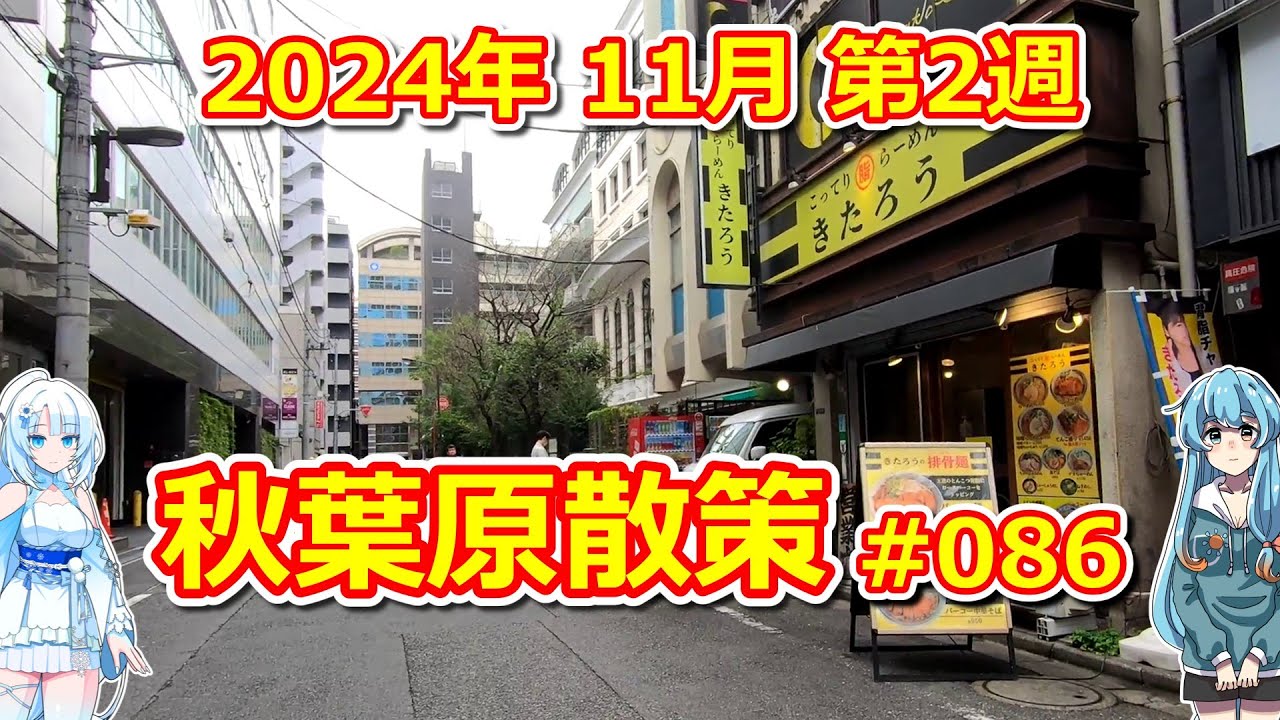 【パソコン】 秋葉原散策 #086 2024年 11月 第2週 【ジャンク】