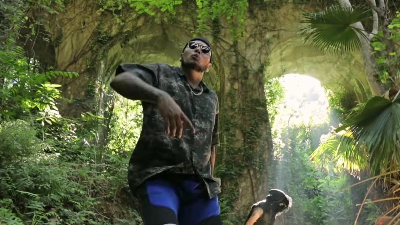 C.TERRIBLE - Mr. KING KONG (Nicki Minaj - Chun Li remiXXX) #socioejecutor
