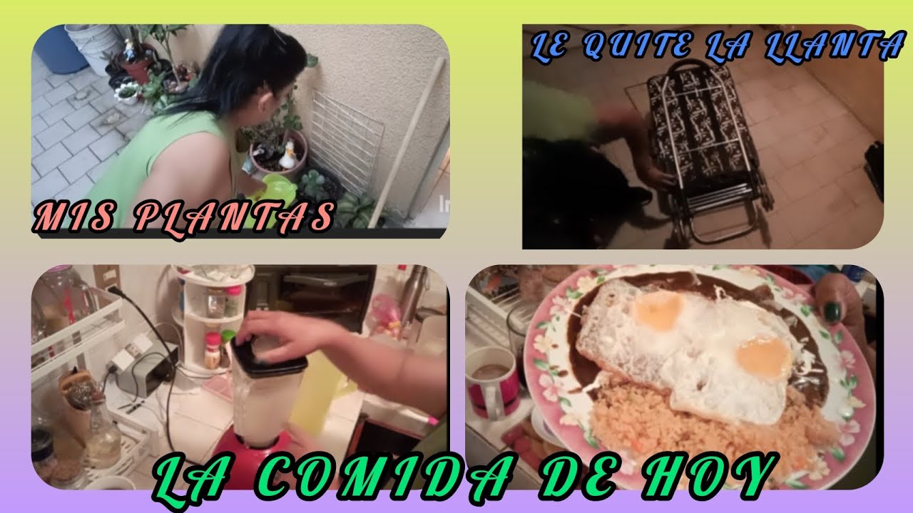 Lo que ME DIJO Gaspar y mi hija🥹/Regué las plantas 🌿/agua de guayaba 🍋/enmoladas/arreglé la 🧳