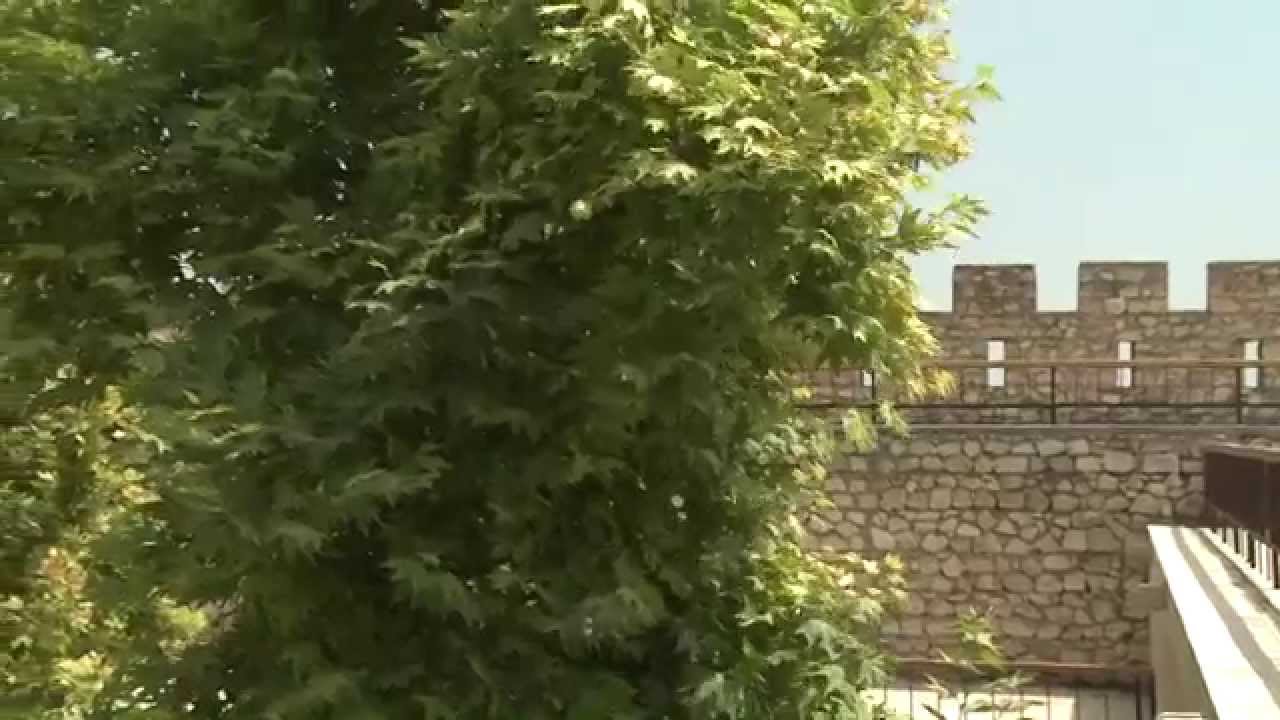 Արցախի Տիգրանակերտը/Tigranakert of Artsakh (Karabakh)