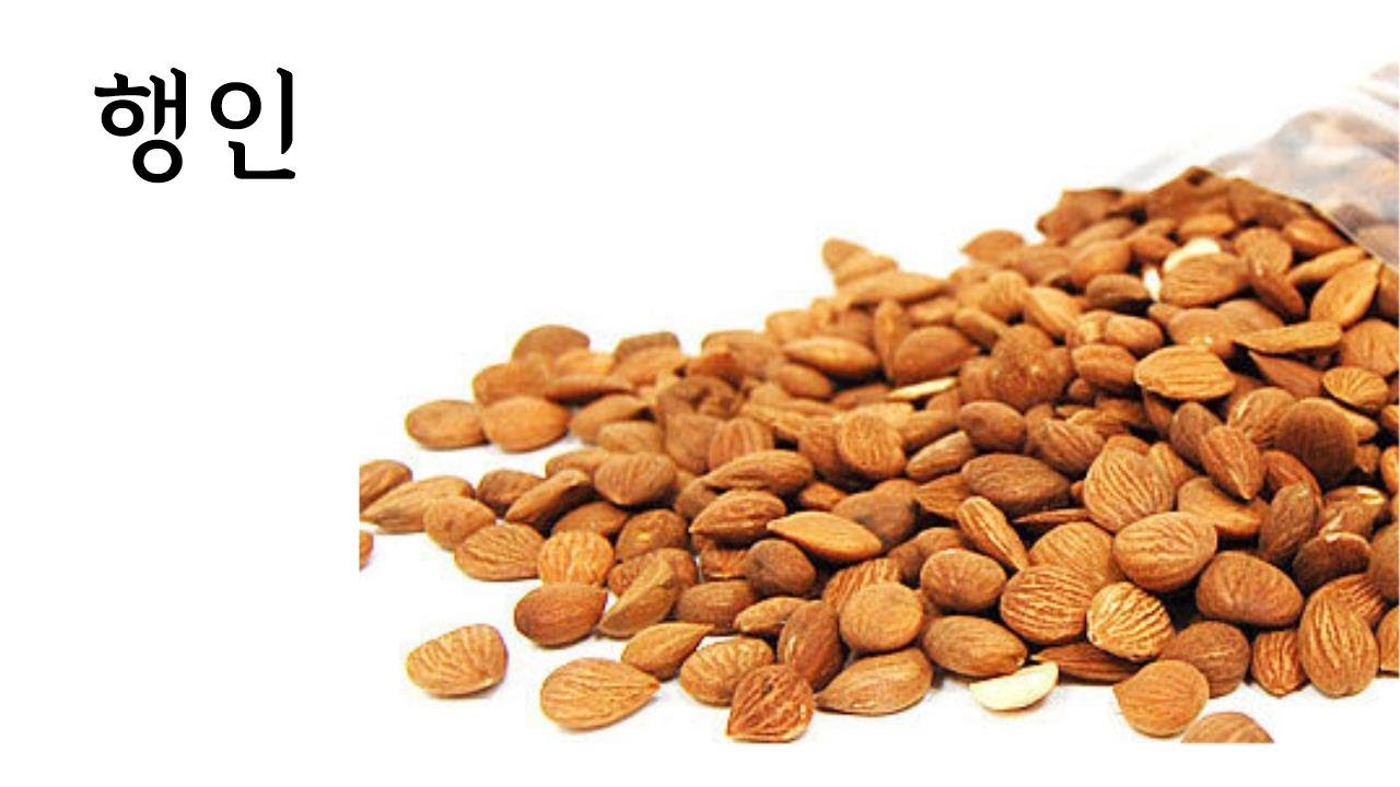 본초요약- 행인