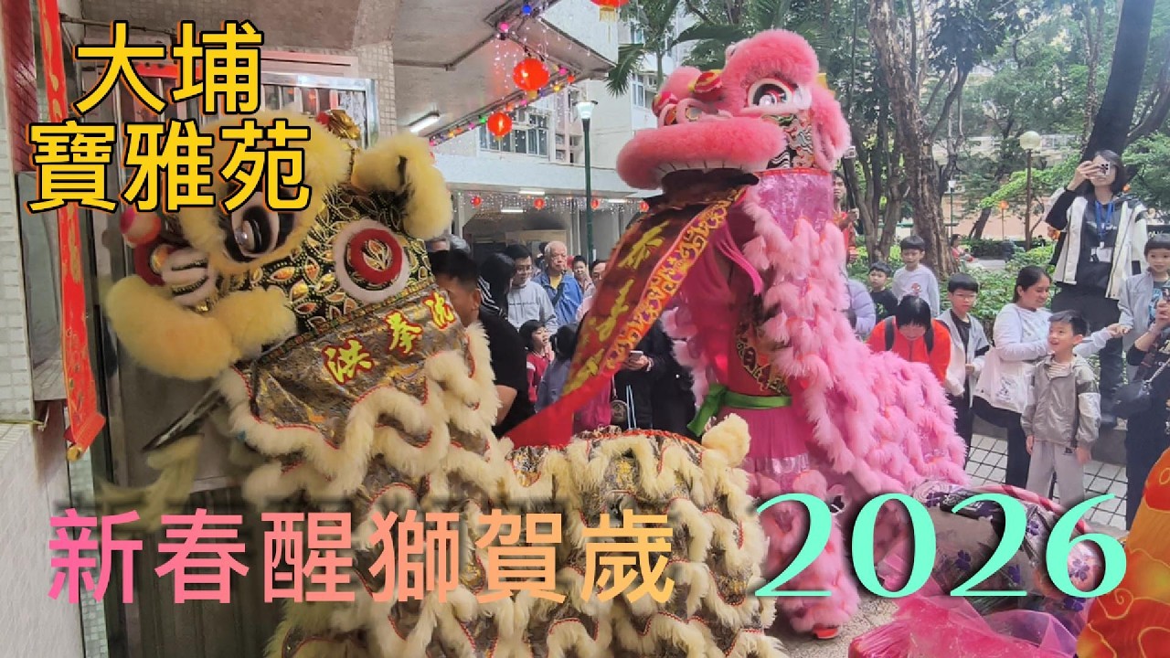 大埔寶雅苑 2026  新春醒獅賀歲