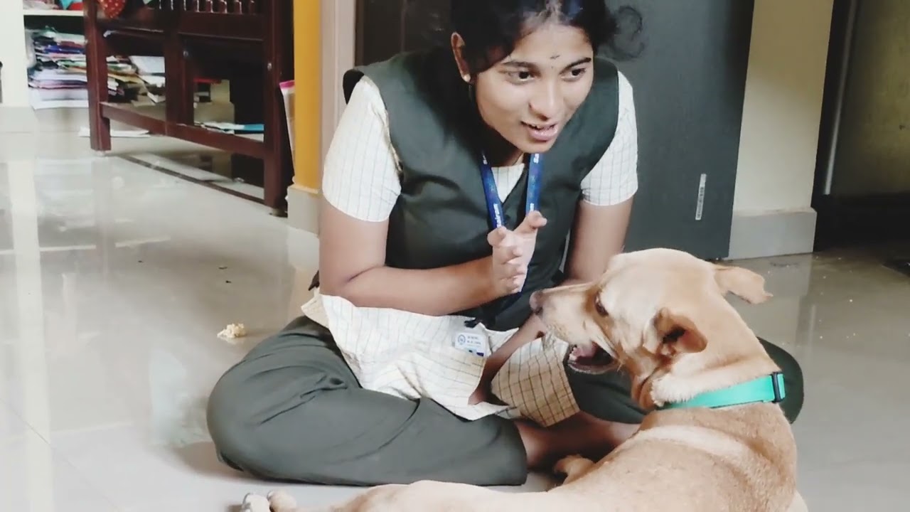 அம்மாவிடம் திட்டு & அக்காவிடம் விளையாட்டு friends வாங்க பாக்கலாம்