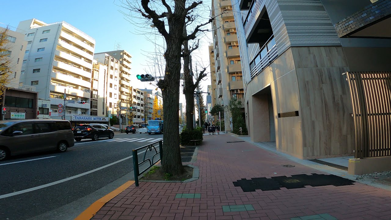TOKYO Ome Kaido Avenue Afternoon Walk - Japan ASMR 4K - VXT TRAVEL