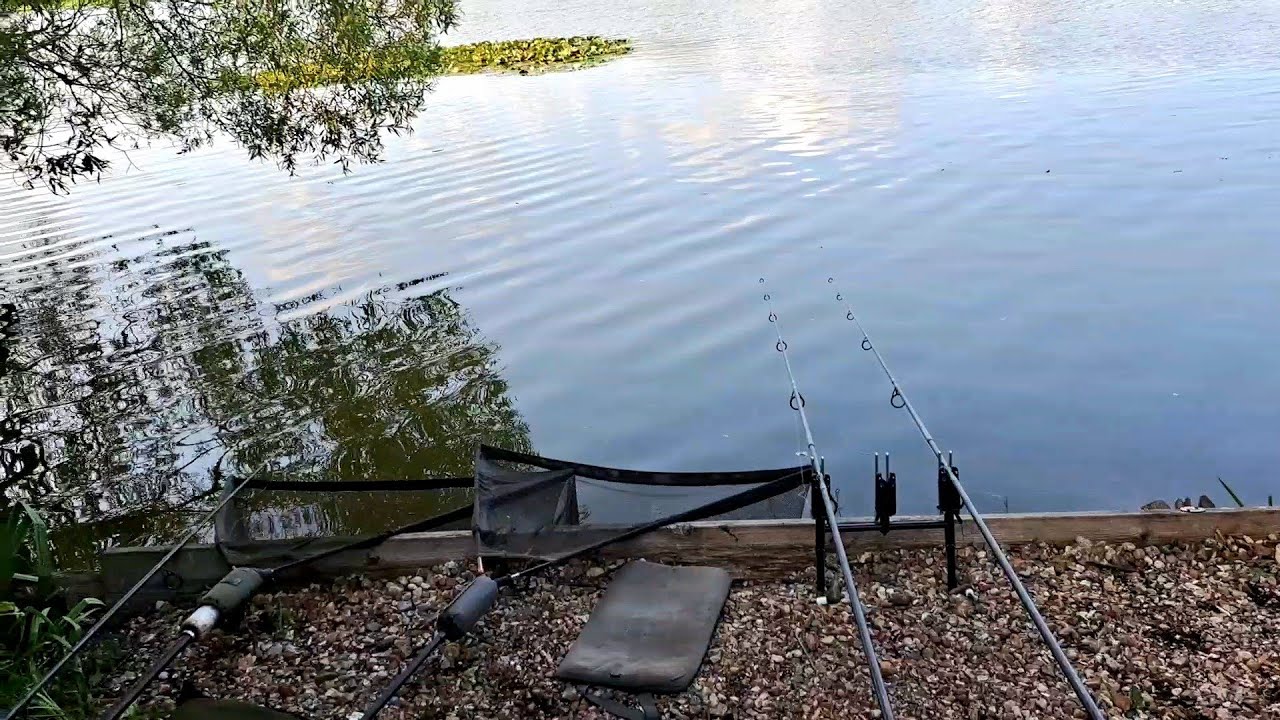 Return to the Big Pit Early June 2025 session quest for a 40lb Carp part 15 #56 #carpfishing