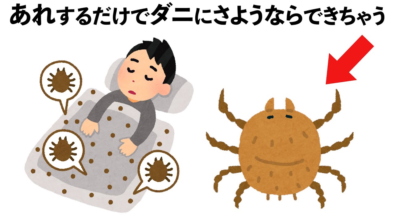 たったこれだけ！今日からダニに「おさらば」できちゃう雑学
