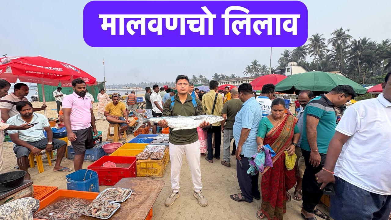 मालवण |लिलाव |सीफूड |कोकण | #kokan #konkan #village #कोकण #sweet family#seafood #fishing #vlog #sea