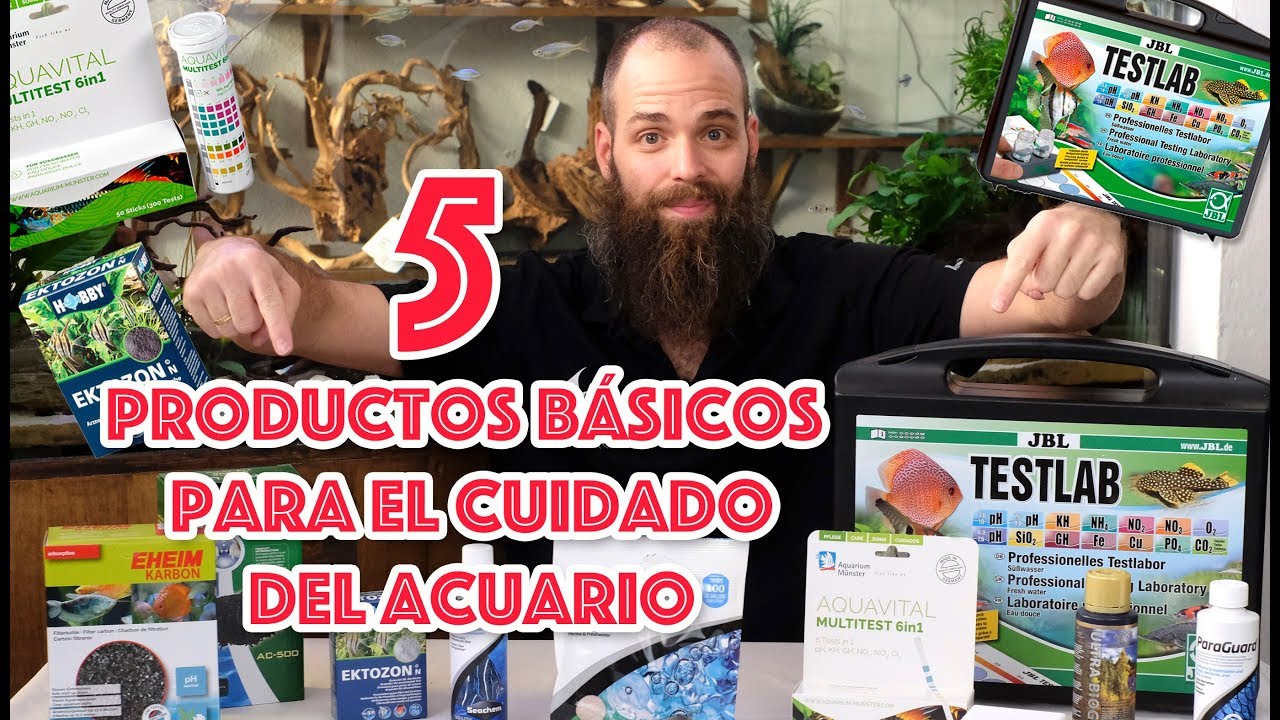 5 productos básicos que pueden salvar 🙏 tu acuario 🐟
