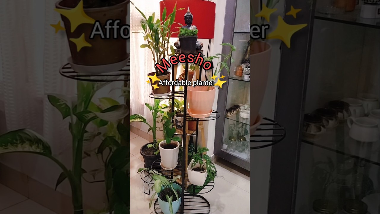 Meesho ✨ affordable planter stand #meesho #meeshohaul #planter