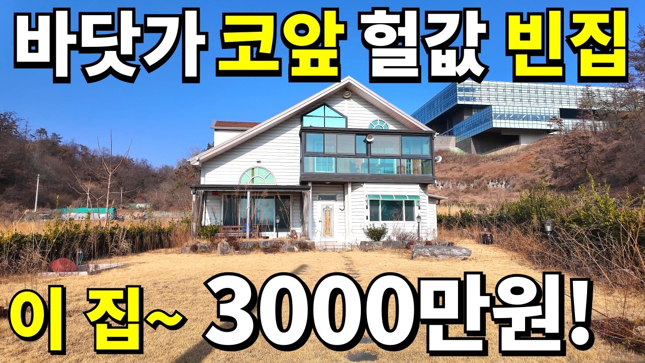 바닷가 코앞 대박 전원주택이 떳다! 집값 3,000만원 땅182평은 몽땅 헐값! 급매랑 비교불가