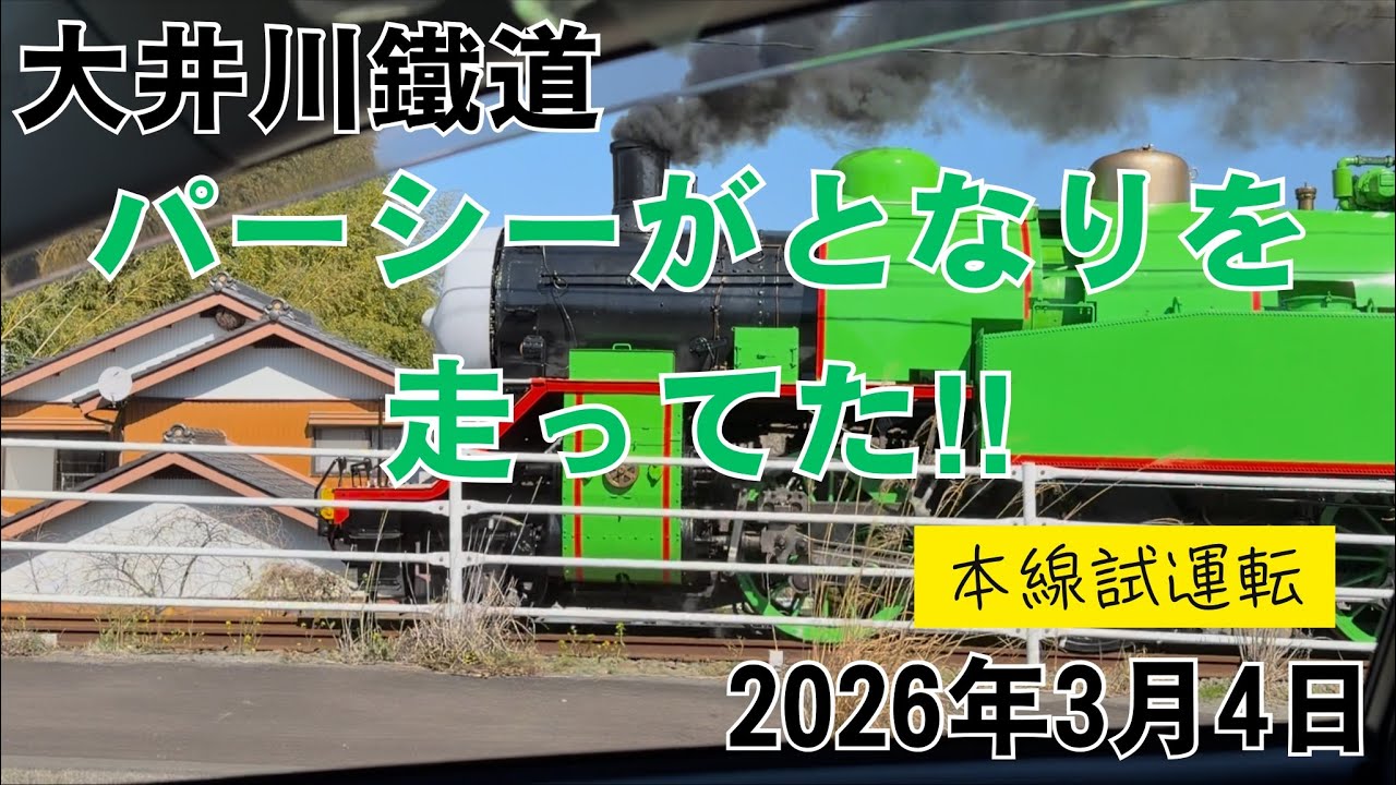 大井川鐵道 パーシーがとなりを走ってた‼︎ 本線試運転 2026.3.4 Percy was running right beside me! Oigawa Railway Test Run