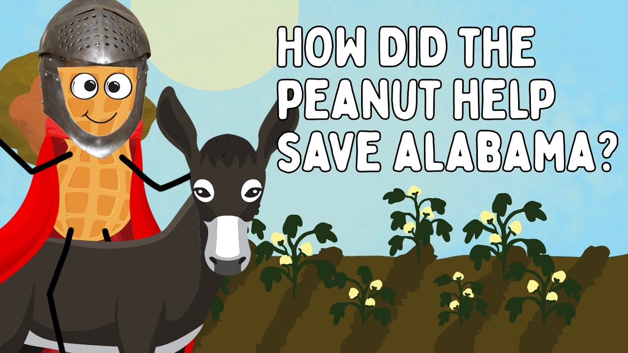 How Did the Peanut Help Save Alabama? | Yellowhammer History Hunt