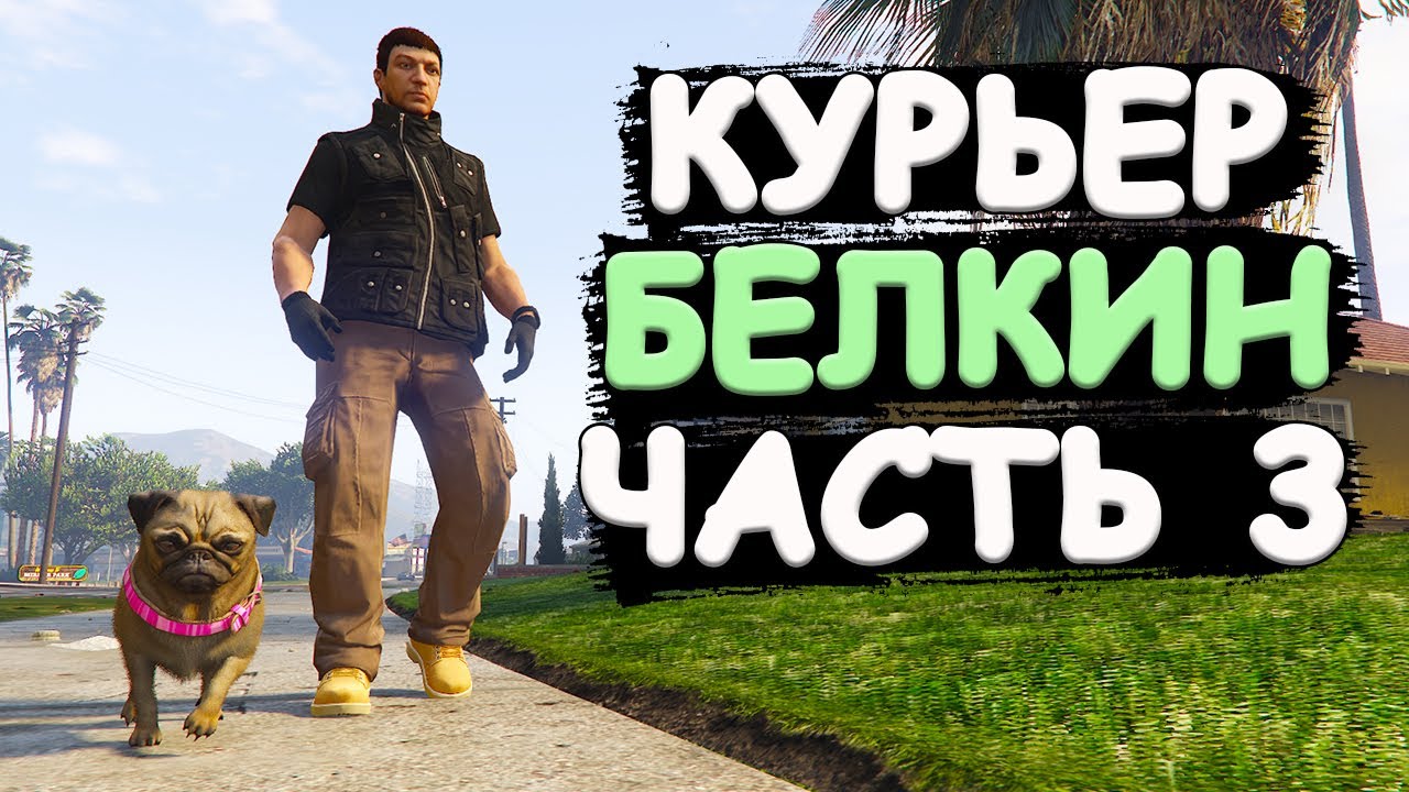 Курьер Белкин фотографирует собак и получает хорошие деньги в GTA Online