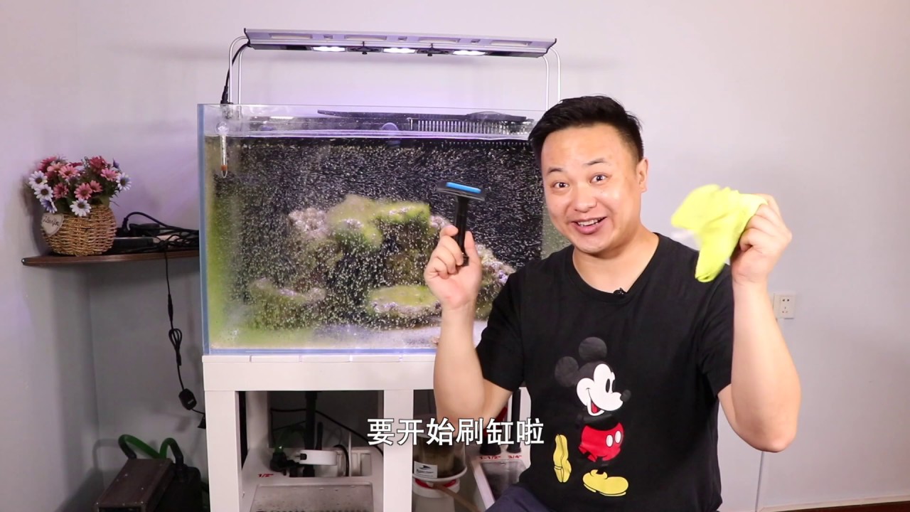 海精灵开缸（五）：爆藻终于结束，可以清洁低等藻类啦！