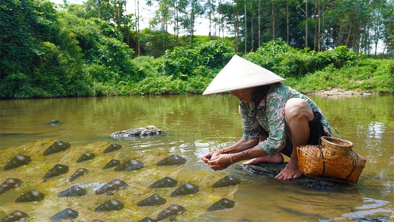 河裡的野味“山坑螺”，加上紫蘇爆炒，這味道真是絕Guangxi grandma catches wild snails to make traditional delicacies｜广西美食 玉林阿婆