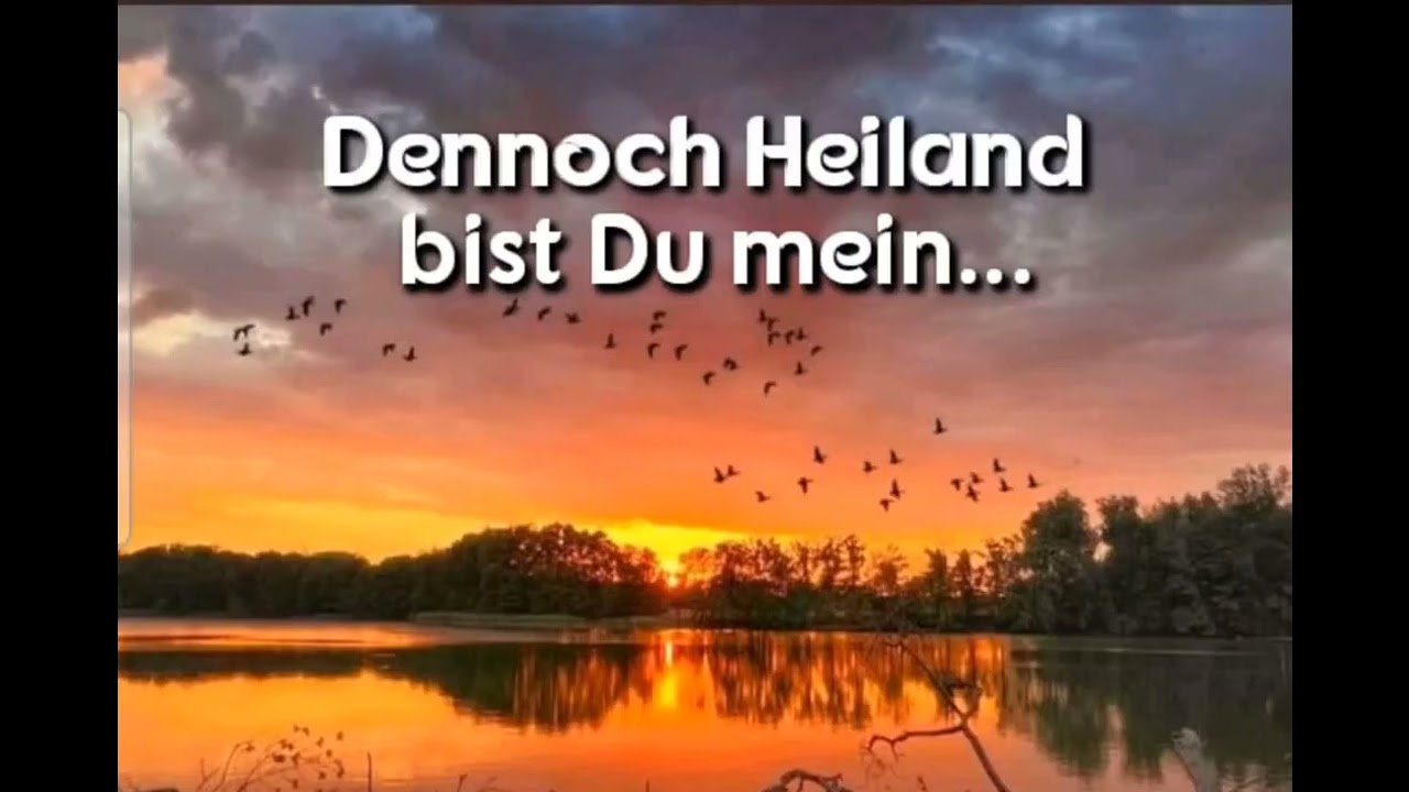Dennoch Heiland bist Du mein... 14.November 2025