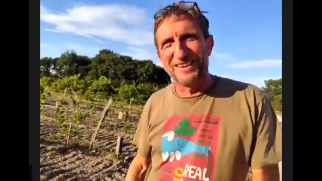 Virtual Vineyard Tour - Clos du Tue Boeuf