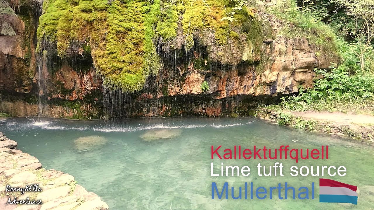 Limestone fountain in the Black Ernz valley (Kalktufbron in de vallei van de Zwarte Ernz)